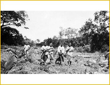  Foto foto Sejarah Migrasi Jawa - Suriname