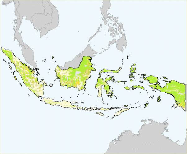 INDONESIA PEMEGANG REKOR DUNIA!!!!!!!MANGSTAP GAN...