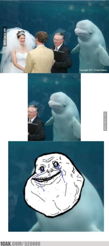 sini gan siang2 ngakak ama ane &#91;BB 17++&#93;