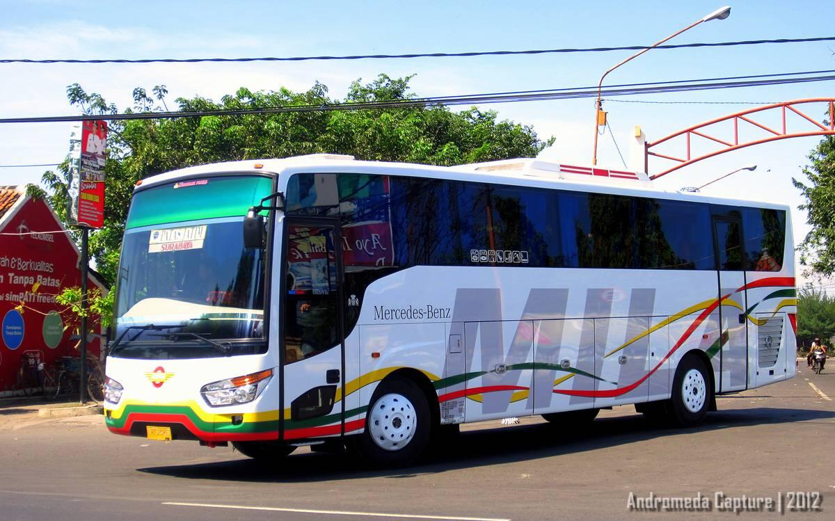 VARIAN JETBUS ADI PUTRO
(Pecinta Bus atau Yang Ingin Tau Tentang Bus Masuk)(+Pict)