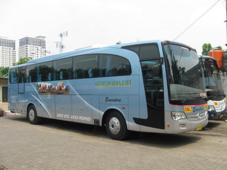 VARIAN JETBUS ADI PUTRO
(Pecinta Bus atau Yang Ingin Tau Tentang Bus Masuk)(+Pict)