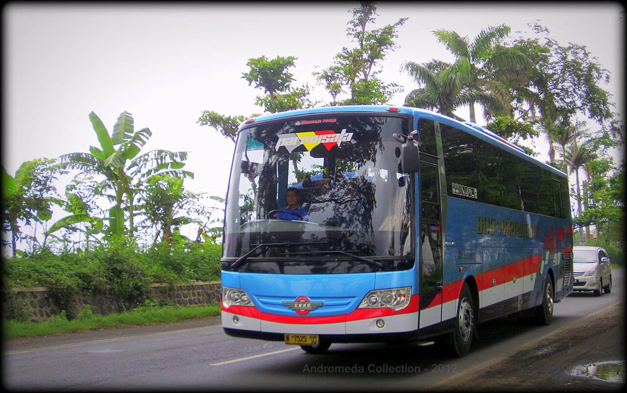 VARIAN JETBUS ADI PUTRO
(Pecinta Bus atau Yang Ingin Tau Tentang Bus Masuk)(+Pict)