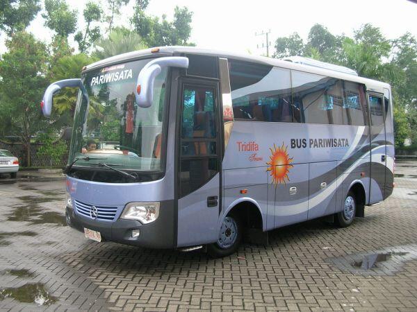 VARIAN JETBUS ADI PUTRO
(Pecinta Bus atau Yang Ingin Tau Tentang Bus Masuk)(+Pict)