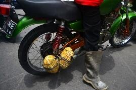 Festival Durian di Magelang Mengakibatkan Macet Parah