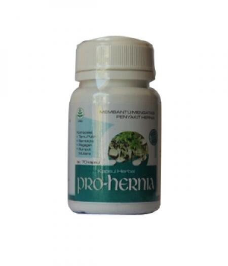 Obat Herbal Hernia (Turun Berok)