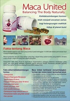 MACA UNITED