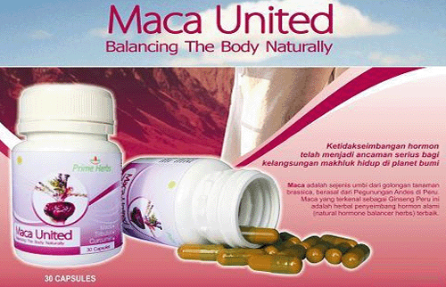 MACA UNITED