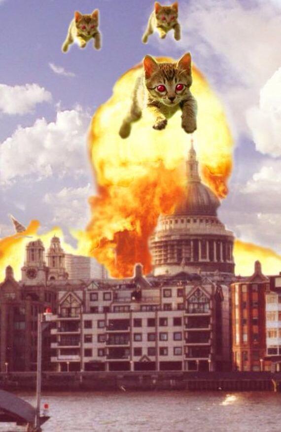 Catzilla.! Ketika para Kucing mencari para pembunuh kucing (Danang T.O ga ya.?)