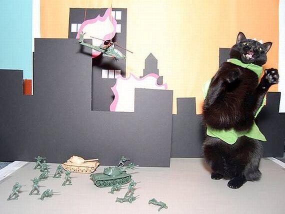 Catzilla.! Ketika para Kucing mencari para pembunuh kucing (Danang T.O ga ya.?)