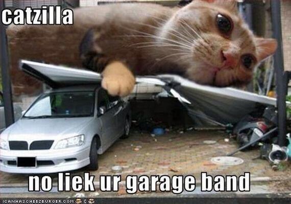 Catzilla.! Ketika para Kucing mencari para pembunuh kucing (Danang T.O ga ya.?)