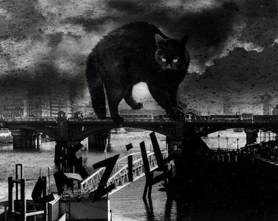 Catzilla.! Ketika para Kucing mencari para pembunuh kucing (Danang T.O ga ya.?)