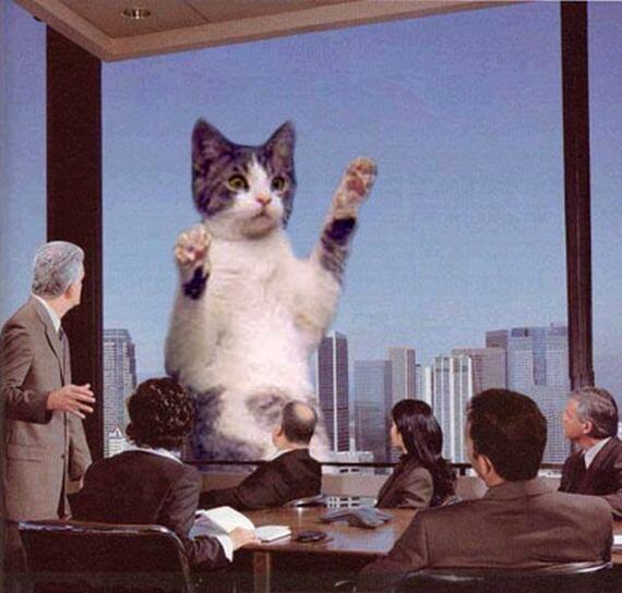 Catzilla.! Ketika para Kucing mencari para pembunuh kucing (Danang T.O ga ya.?)