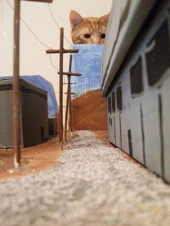 Catzilla.! Ketika para Kucing mencari para pembunuh kucing (Danang T.O ga ya.?)