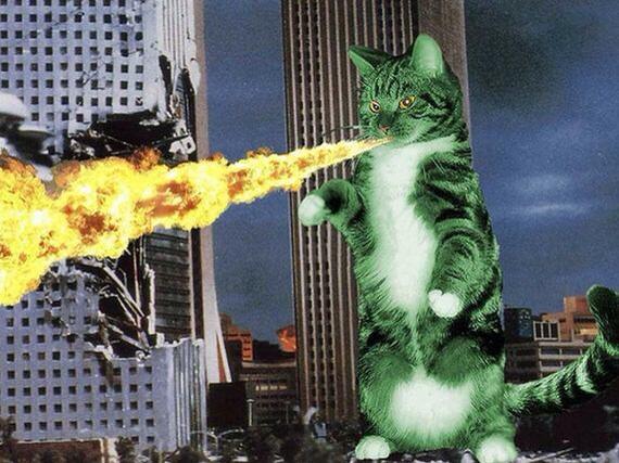 Catzilla.! Ketika para Kucing mencari para pembunuh kucing (Danang T.O ga ya.?)