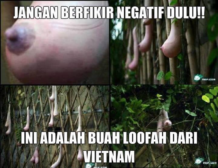 NGAKAK...!!!! (BB 17++)