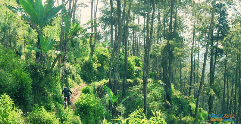 KOSKAS MALANG - ride & share