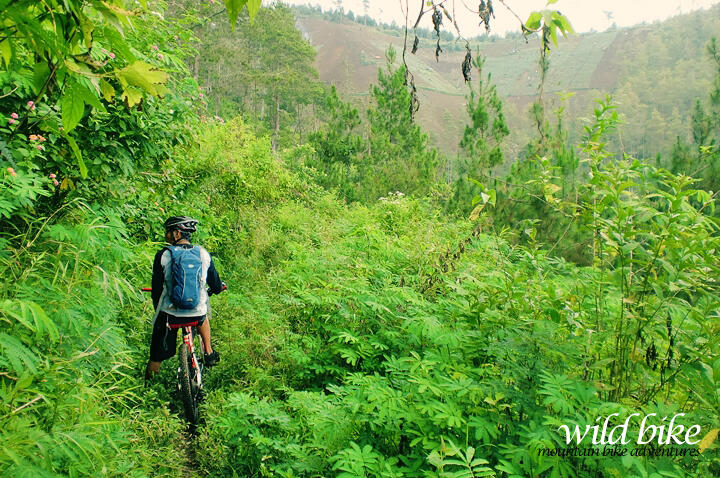 KOSKAS MALANG - ride & share