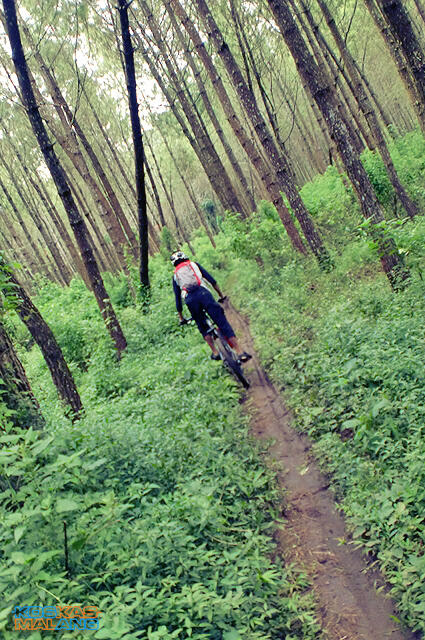KOSKAS MALANG - ride & share