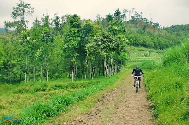 KOSKAS MALANG - ride & share