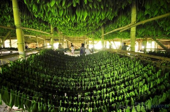 Ini Gan, Bangunan Unik Pengeringan Tembakau di Klaten