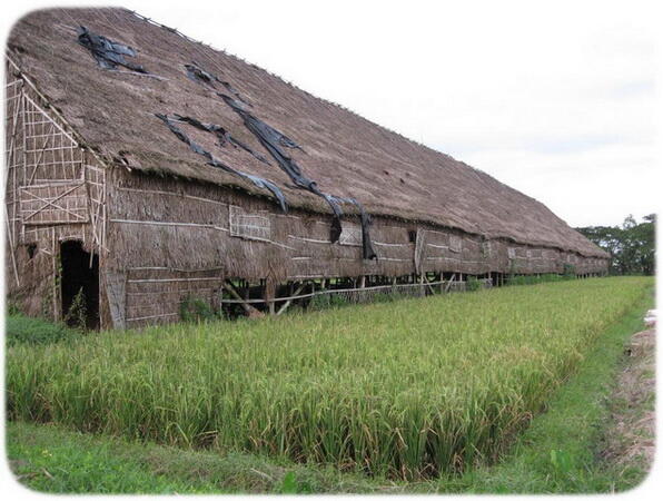 Ini Gan, Bangunan Unik Pengeringan Tembakau di Klaten