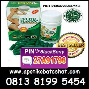 PELANGSING BADAN PRI+WANITA 100% HERBAL 08170020171 BB 27A91796