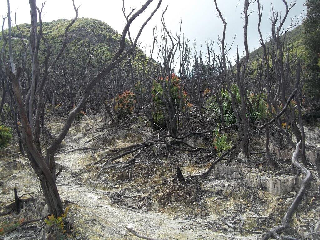 &#91;CATPER&#93; Pendakian &quot;Singkat&quot; Papandayan &#91;5 - 6 Maret 2013&#93;