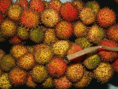 7 Jenis Rambutan Terbaik dari Indonesia