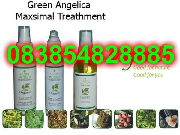 penumbuh rambut alami serum green angelica