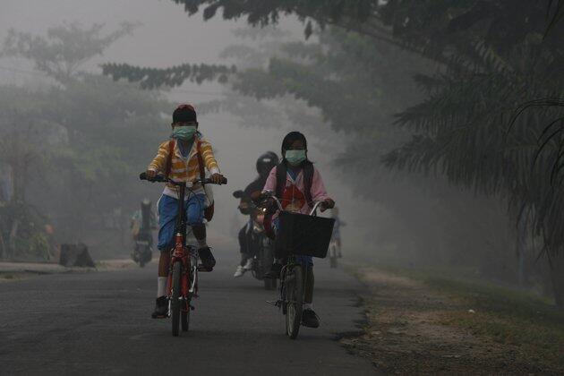 Tolong Segera Riau dari bencana asap... RIAU gawat Darurat... help