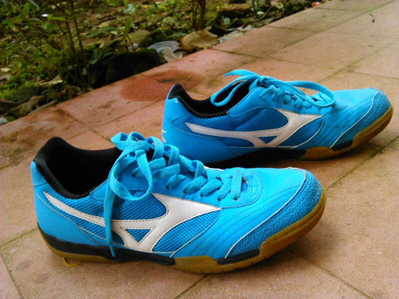 Adidas Predator Absolado Samba IN and Mizuno Sala Club IN
