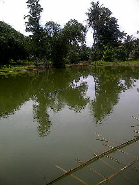 TOURNAMET MANCING DI SUBANG -JAWA BARAT