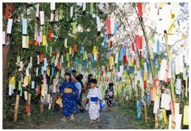 Mengenali Segitiga Musim Panas Dan Segitiga Musim Dingin