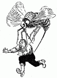 Fakta-Fakta Seputar Nyamuk