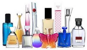 Fakta-Fakta Seputar Nyamuk