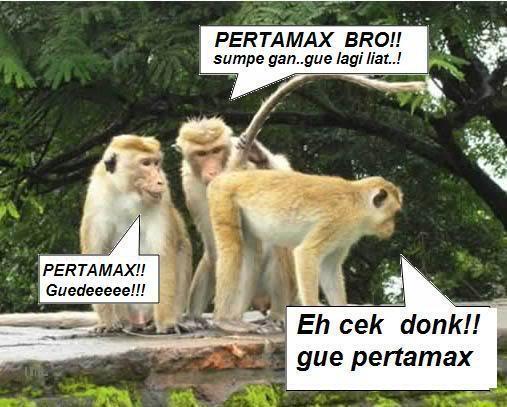 BINGUNG KASI JUDUL APA | MAMPIR GAN XD