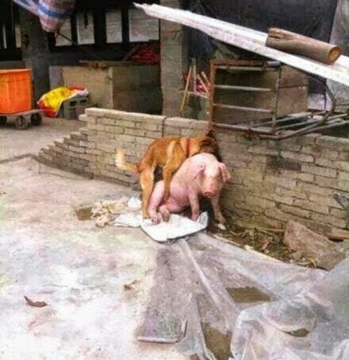 BINGUNG KASI JUDUL APA | MAMPIR GAN XD