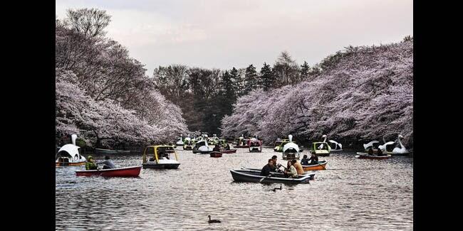 5 Kisah Misteri Mengerikan yang Hanya Bisa di Temukan di Jepang