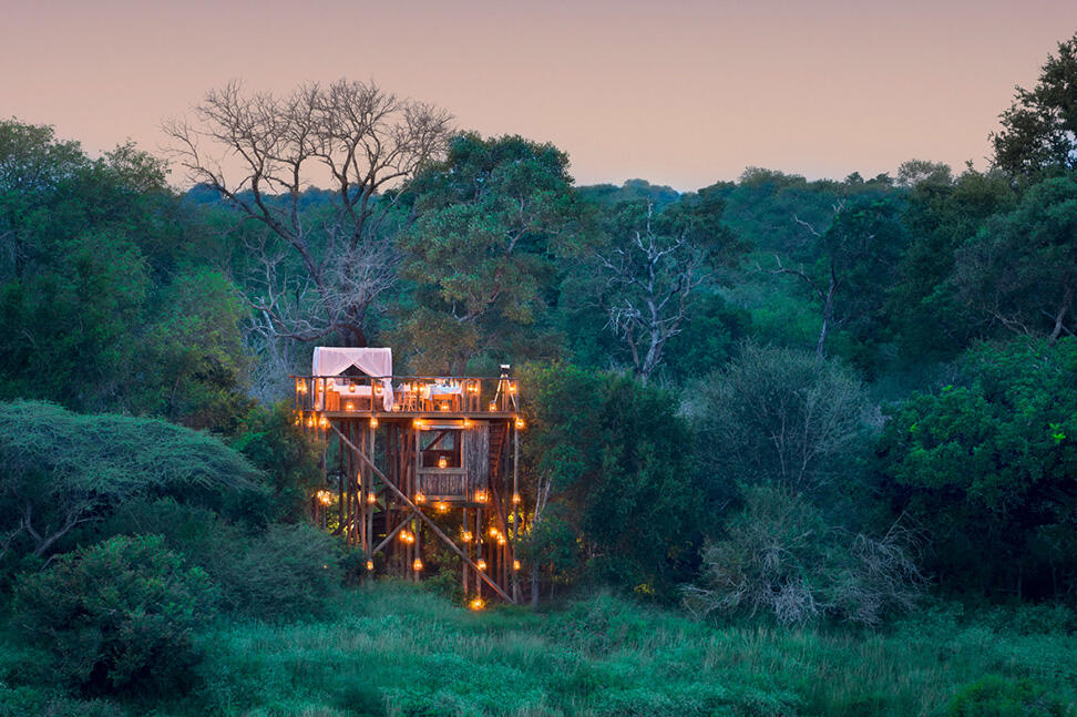 Chalkley Treehouse (Hotel Safari)