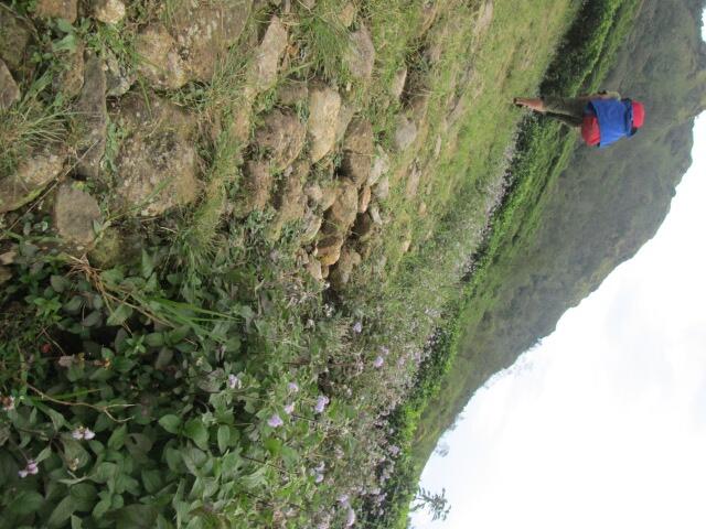 &#91;Catper&#93; Sang Gunung Guru (Ungaran, 2050 mdpl)