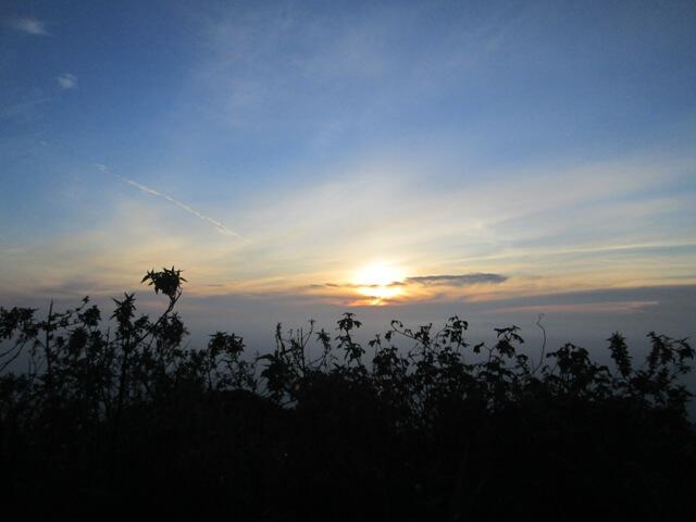 &#91;Catper&#93; Sang Gunung Guru (Ungaran, 2050 mdpl)