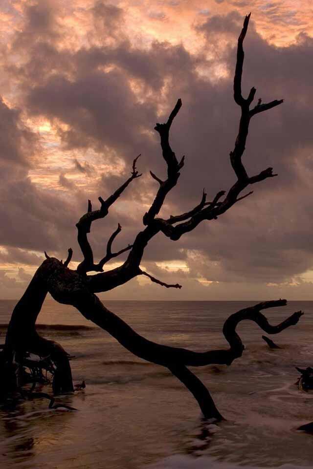 Wallpaper keren versi2 ane gan +PIC