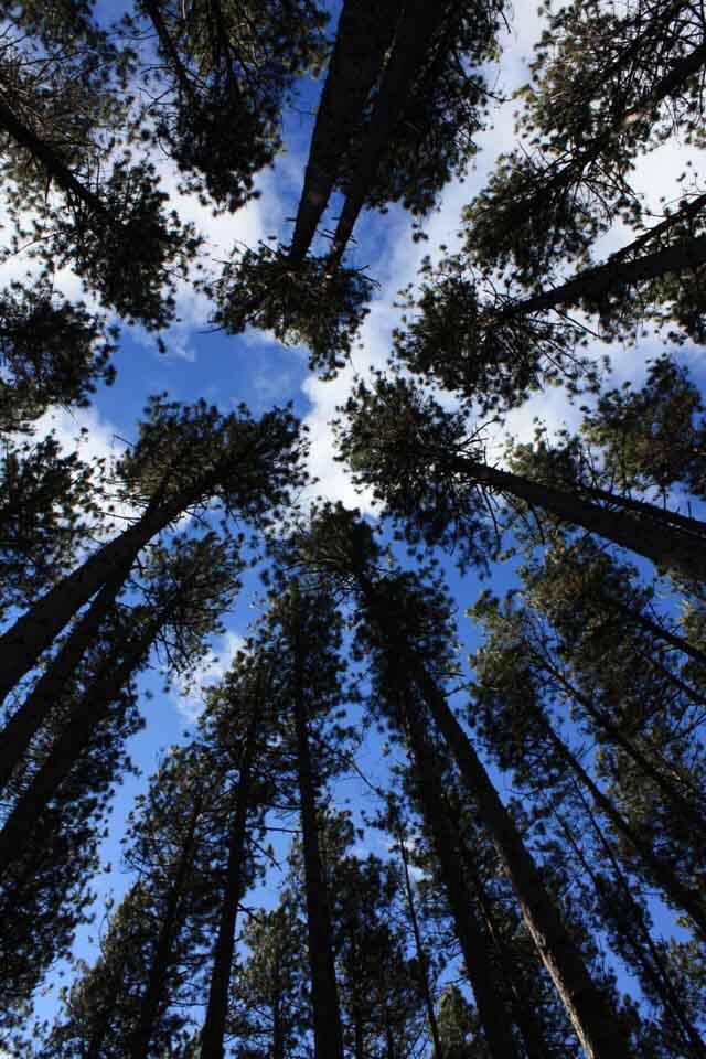 Wallpaper keren versi2 ane gan +PIC