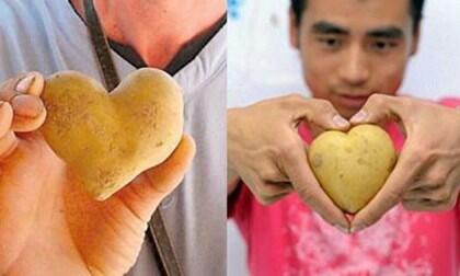 &#91;HOT&#93; Saingan cabe-cabean &amp; terong-terongan ( Filosofi Personality )