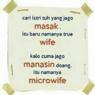 Istri yang di damba Suami