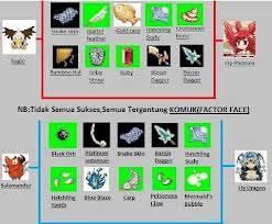 NEW Seal private Server