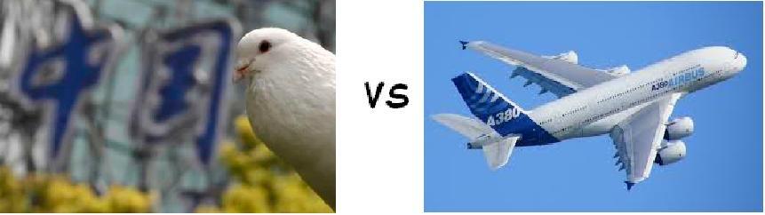 Cek gan siapa yg Menang antara =&gt; Burung vs Pesawat..??