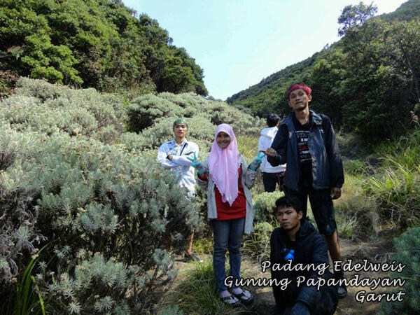 &#91;CATPER&#93; Pendakian Gunung Papandayan 1 - 3 November 2013