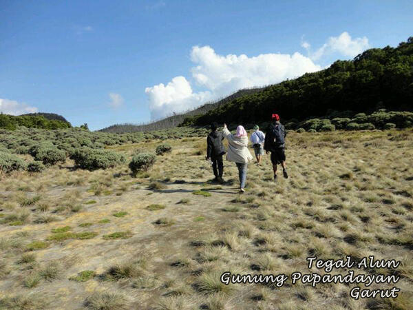 &#91;CATPER&#93; Pendakian Gunung Papandayan 1 - 3 November 2013