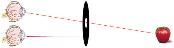 Dominant Eye - Mata sebelah manakah yang lebih dominan?